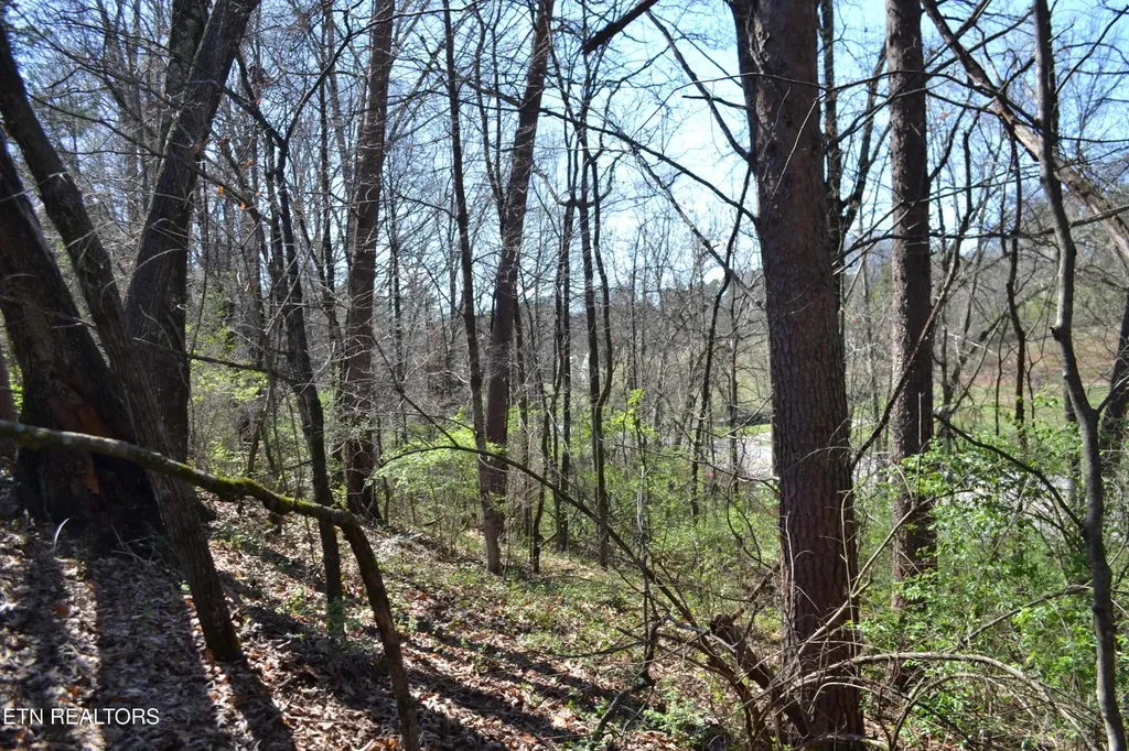 3024 Us-411 Maryville TN 37801