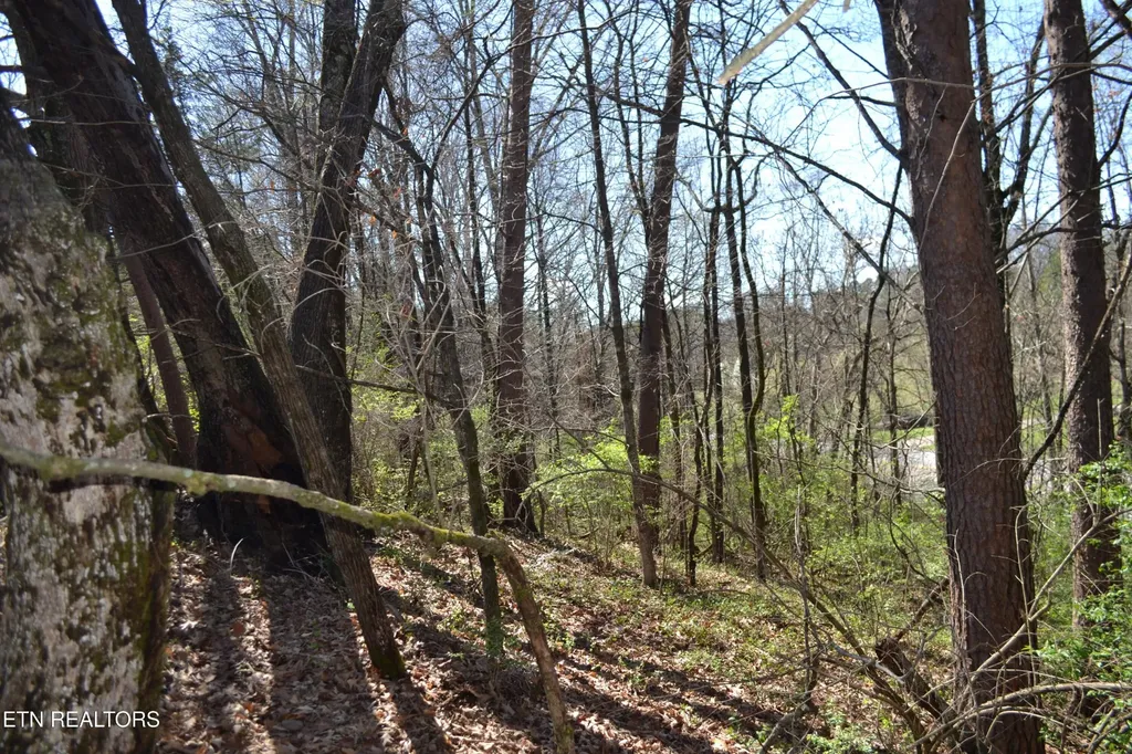 3024 Us-411 Maryville TN 37801