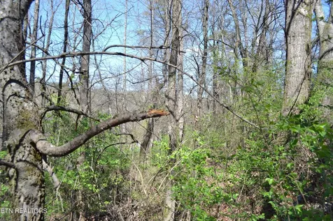 3024 Us-411 Maryville TN 37801
