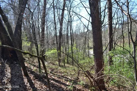 3024 Us-411 Maryville TN 37801