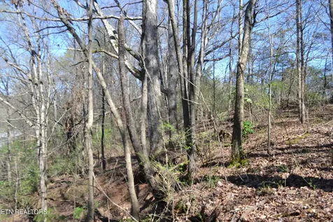 3024 Us-411 Maryville TN 37801
