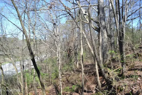 3024 Us-411 Maryville TN 37801