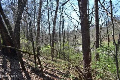 3024 Us-411 Maryville TN 37801