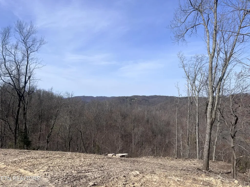 4575 Upper Crab Road Jamestown TN 38556