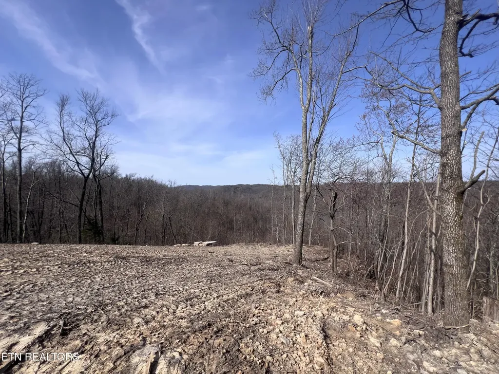 4575 Upper Crab Road Jamestown TN 38556