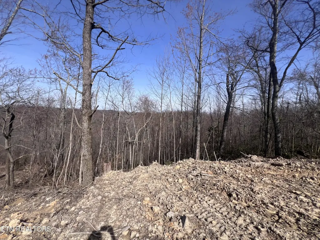 4575 Upper Crab Road Jamestown TN 38556