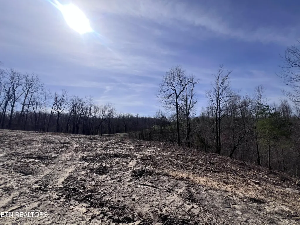 4575 Upper Crab Road Jamestown TN 38556
