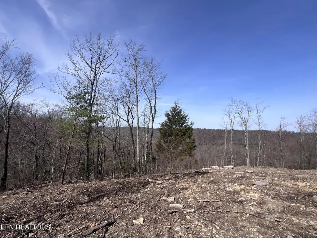 4575 Upper Crab Road Jamestown TN 38556