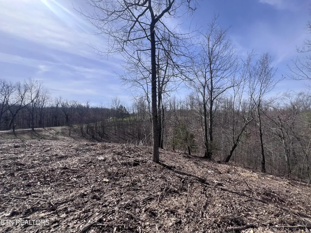4575 Upper Crab Road Jamestown TN 38556