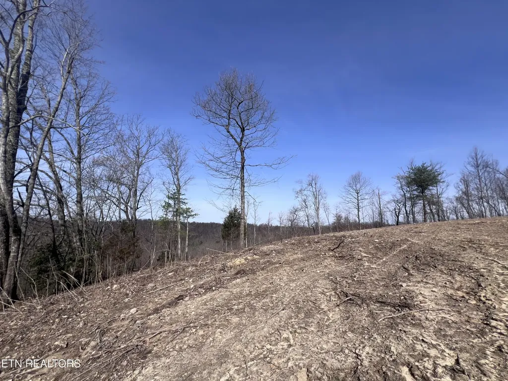 4575 Upper Crab Road Jamestown TN 38556