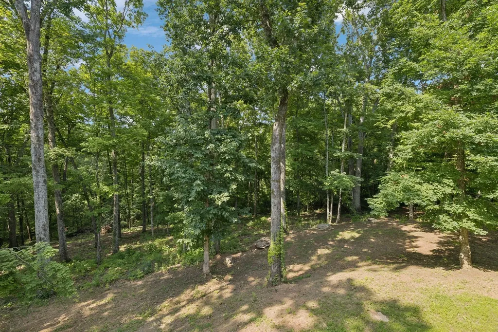 1556 Heller Ridge Spring Hill TN 37174