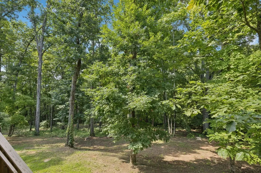 1556 Heller Ridge Spring Hill TN 37174