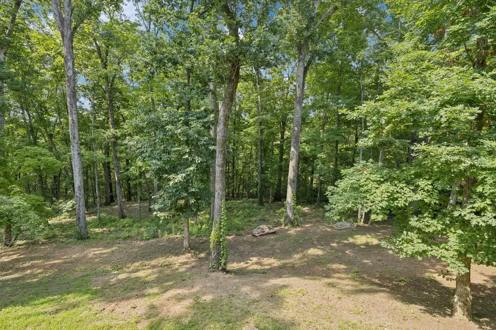 1556 Heller Ridge Spring Hill TN 37174