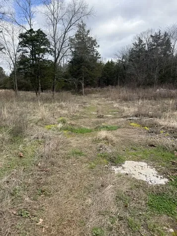 3619 Rocky Glade Road Eagleville TN 37060