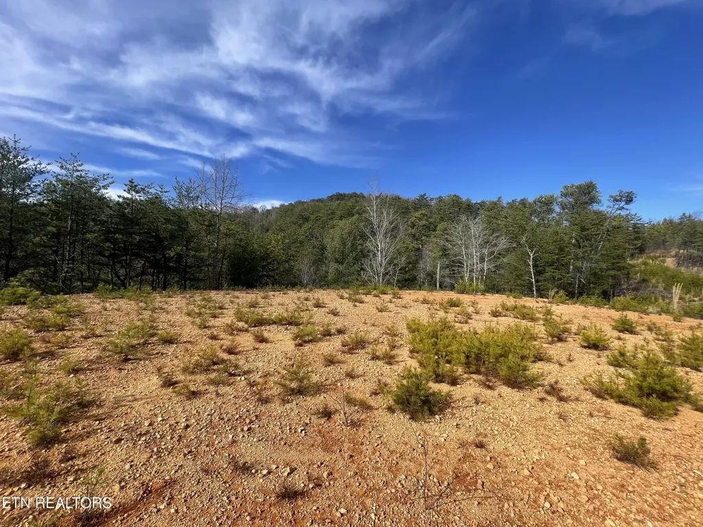 36 Bullet Mountain Drive Tellico Plains TN 37385