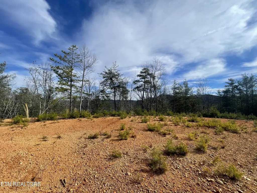 36 Bullet Mountain Drive Tellico Plains TN 37385