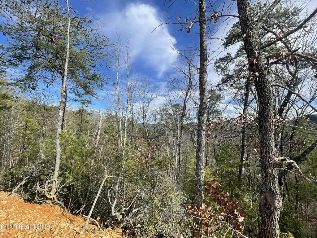 36 Bullet Mountain Drive Tellico Plains TN 37385