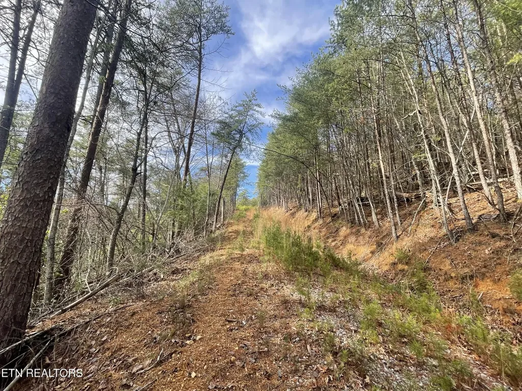 36 Bullet Mountain Drive Tellico Plains TN 37385