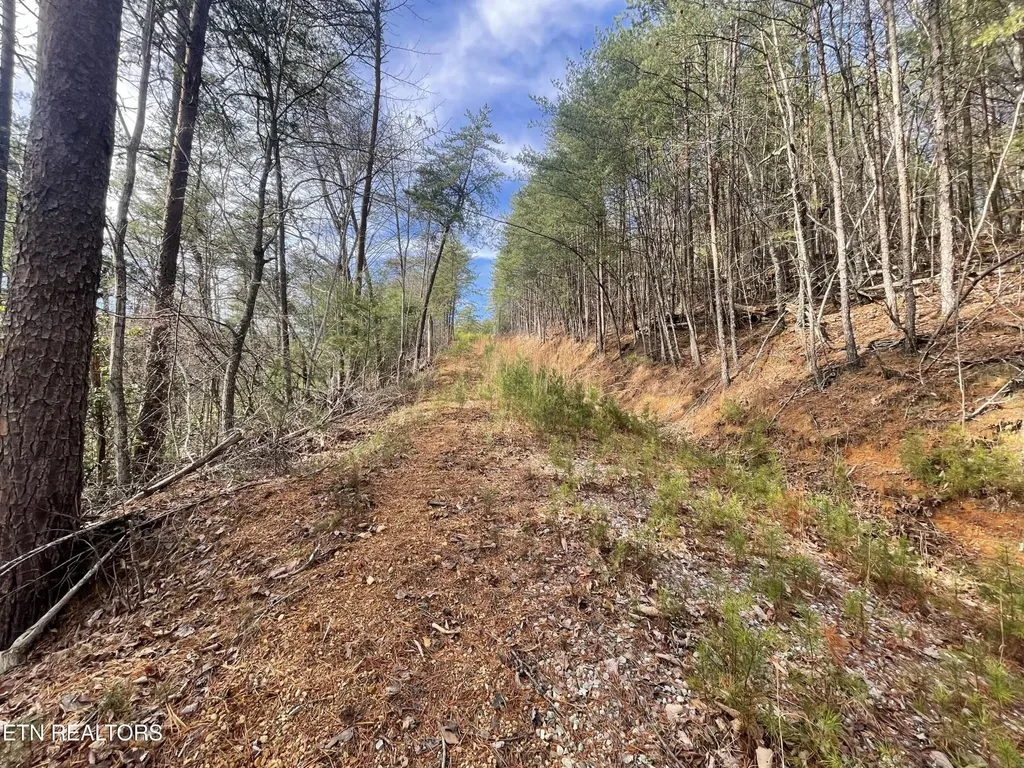 36 Bullet Mountain Drive Tellico Plains TN 37385