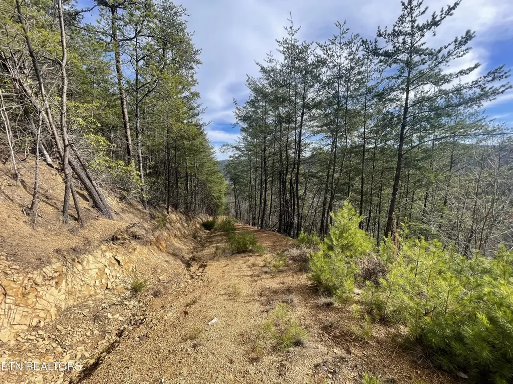 36 Bullet Mountain Drive Tellico Plains TN 37385