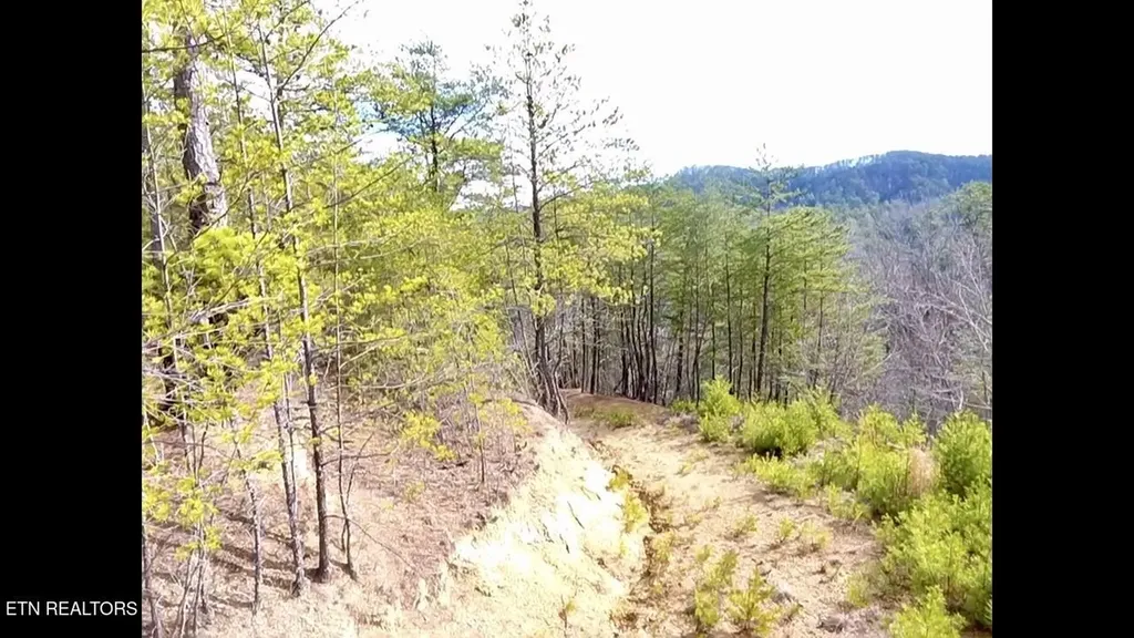 36 Bullet Mountain Drive Tellico Plains TN 37385