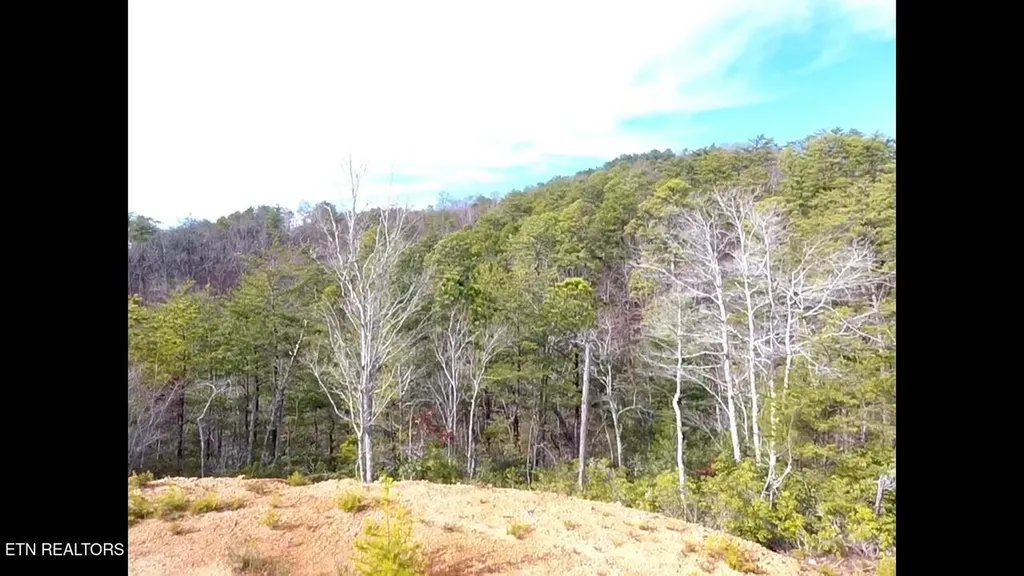 36 Bullet Mountain Drive Tellico Plains TN 37385