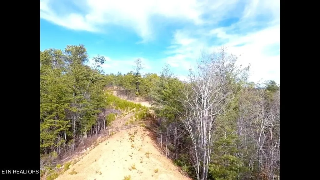36 Bullet Mountain Drive Tellico Plains TN 37385