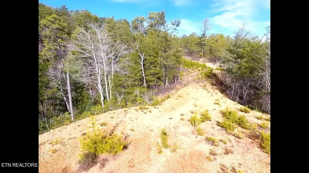 36 Bullet Mountain Drive Tellico Plains TN 37385