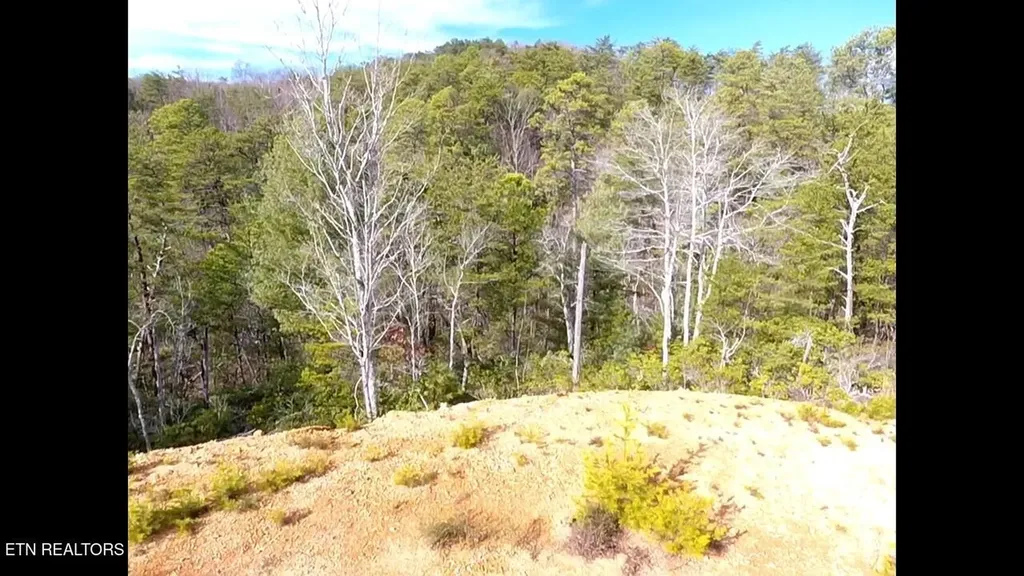 36 Bullet Mountain Drive Tellico Plains TN 37385
