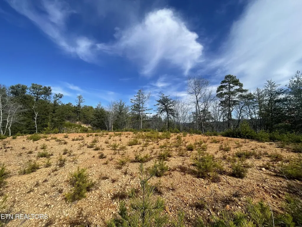 36 Bullet Mountain Drive Tellico Plains TN 37385