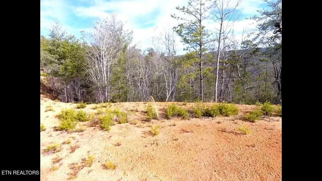 36 Bullet Mountain Drive Tellico Plains TN 37385