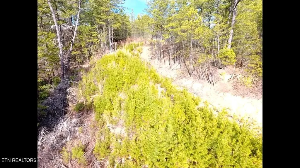 36 Bullet Mountain Drive Tellico Plains TN 37385
