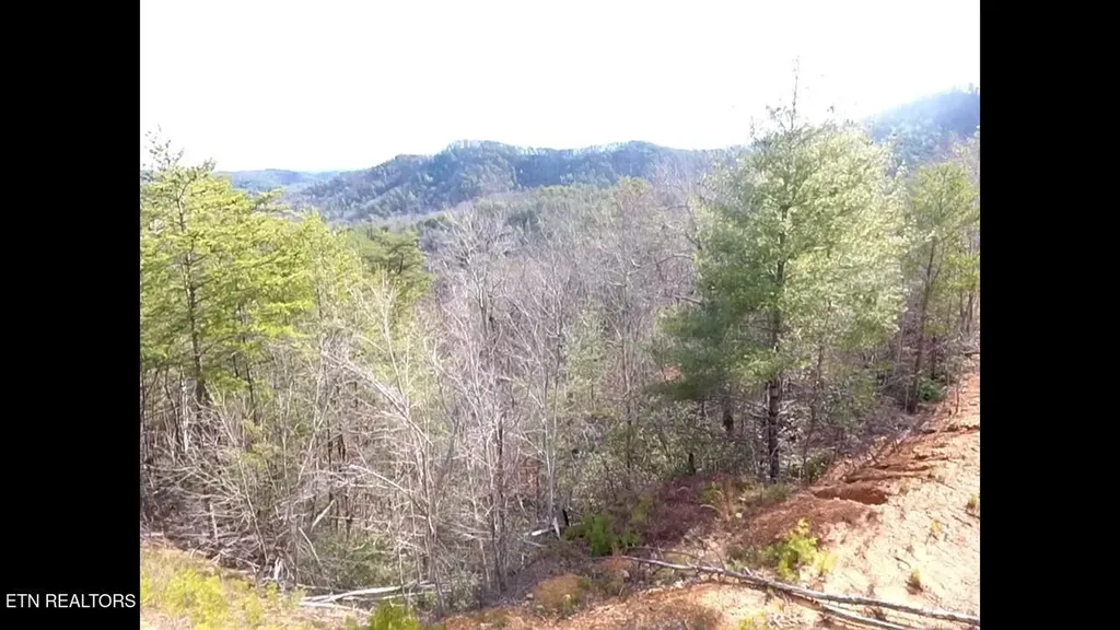 36 Bullet Mountain Drive Tellico Plains TN 37385