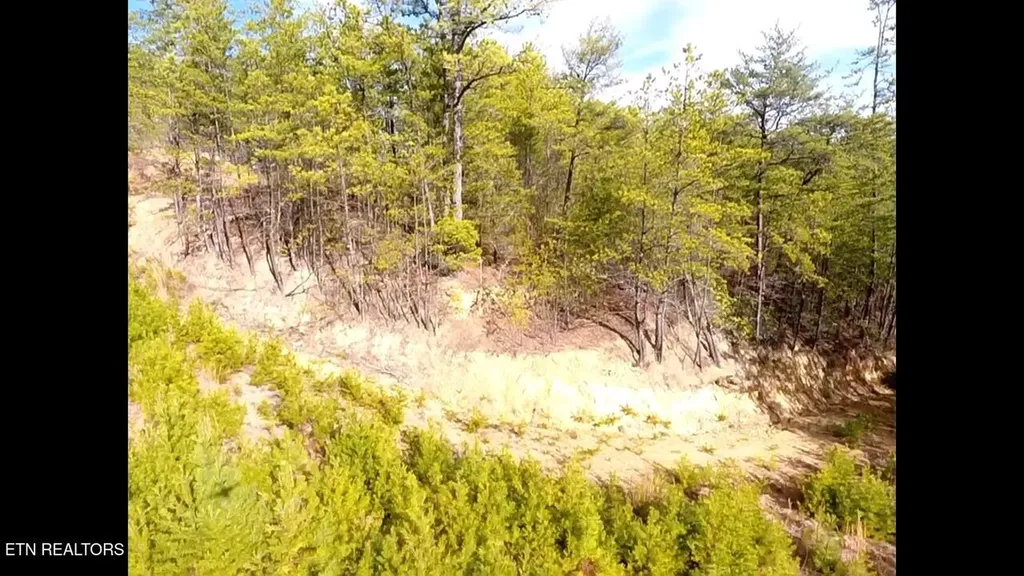 36 Bullet Mountain Drive Tellico Plains TN 37385