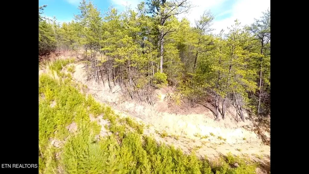 36 Bullet Mountain Drive Tellico Plains TN 37385