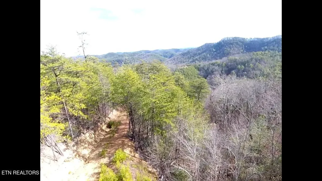 36 Bullet Mountain Drive Tellico Plains TN 37385