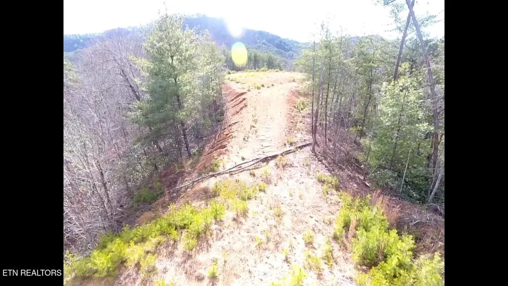 36 Bullet Mountain Drive Tellico Plains TN 37385