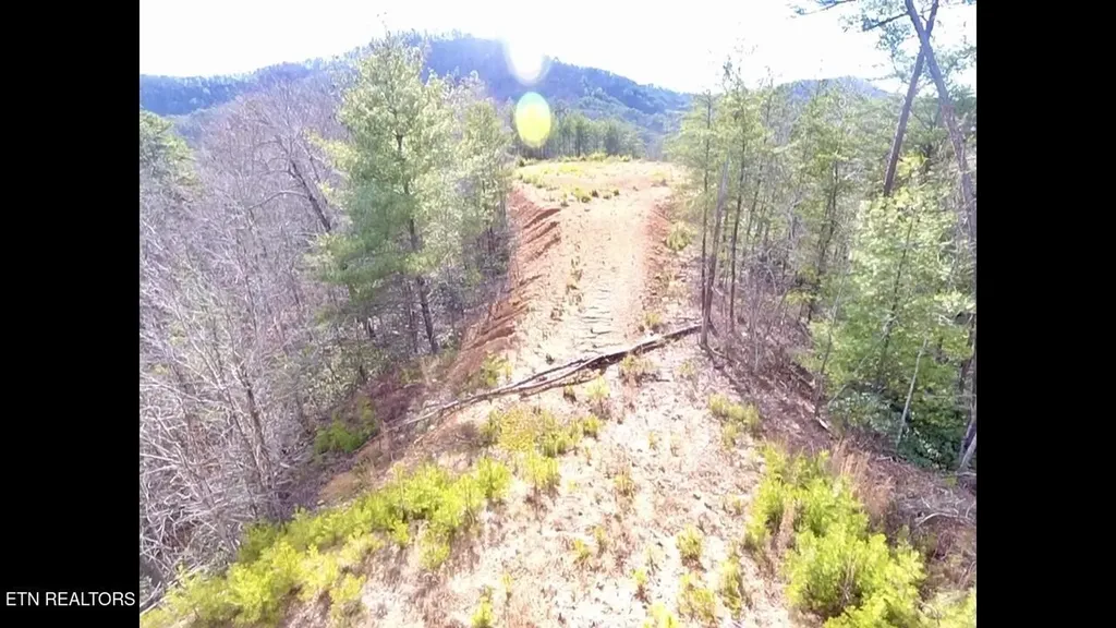 36 Bullet Mountain Drive Tellico Plains TN 37385
