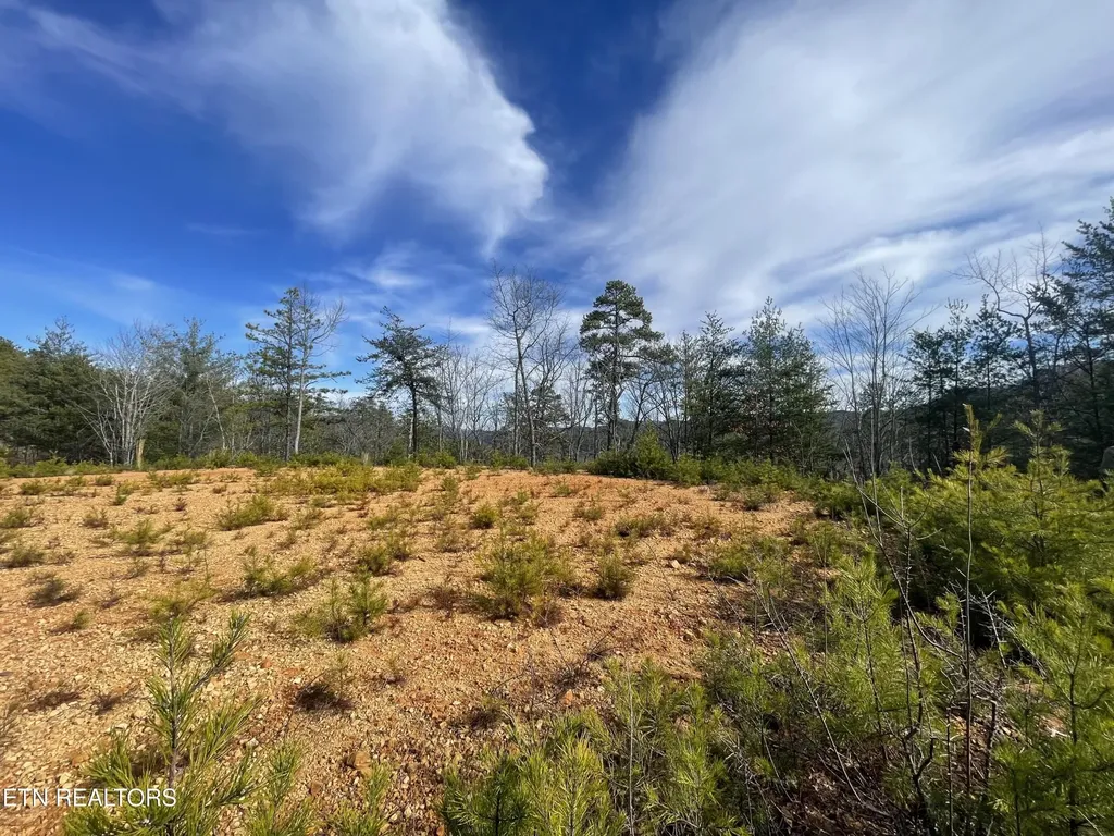 36 Bullet Mountain Drive Tellico Plains TN 37385