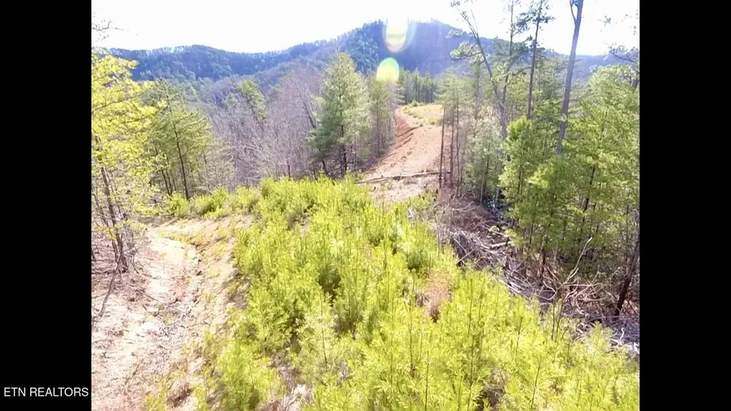 36 Bullet Mountain Drive Tellico Plains TN 37385