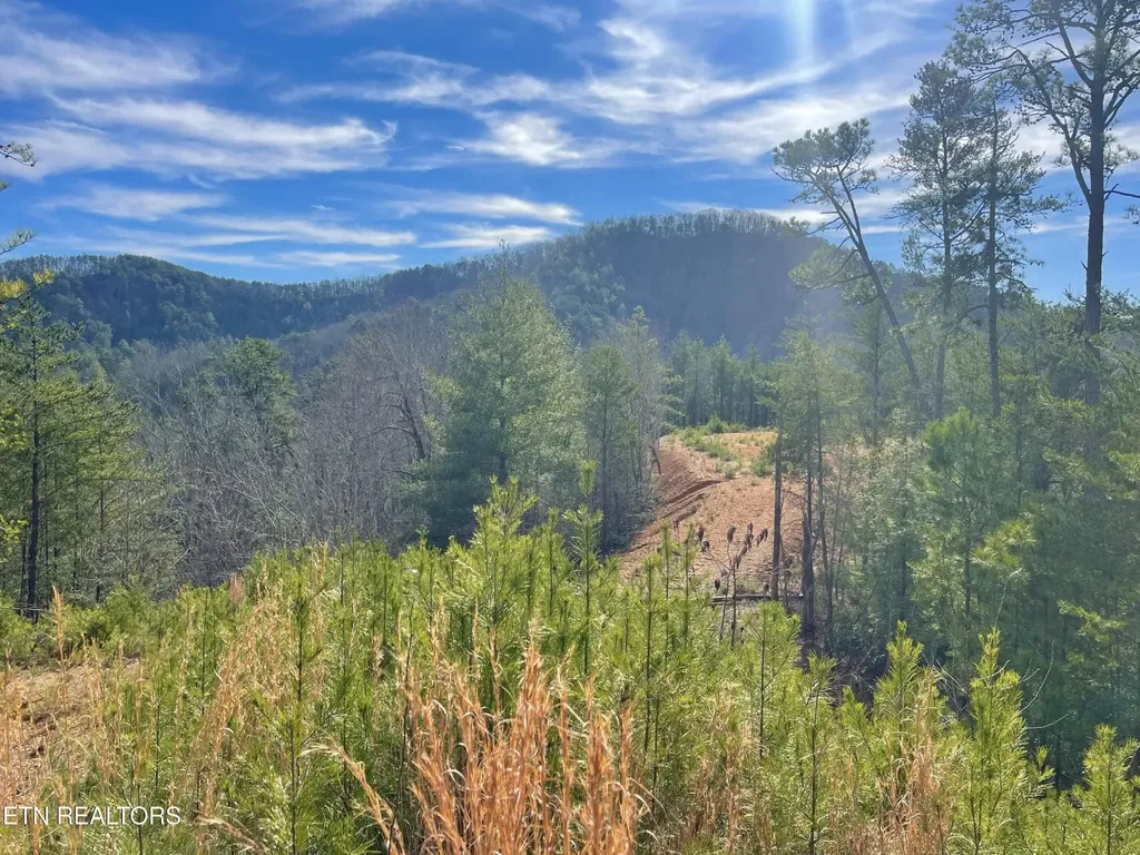 36 Bullet Mountain Drive Tellico Plains TN 37385