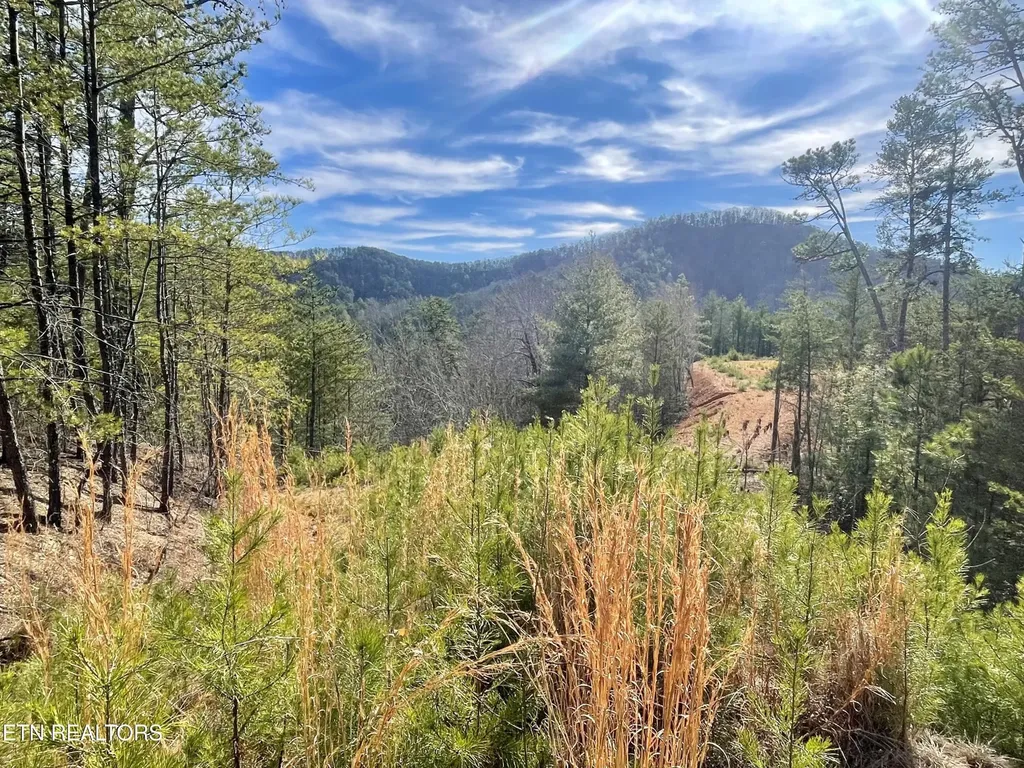 36 Bullet Mountain Drive Tellico Plains TN 37385