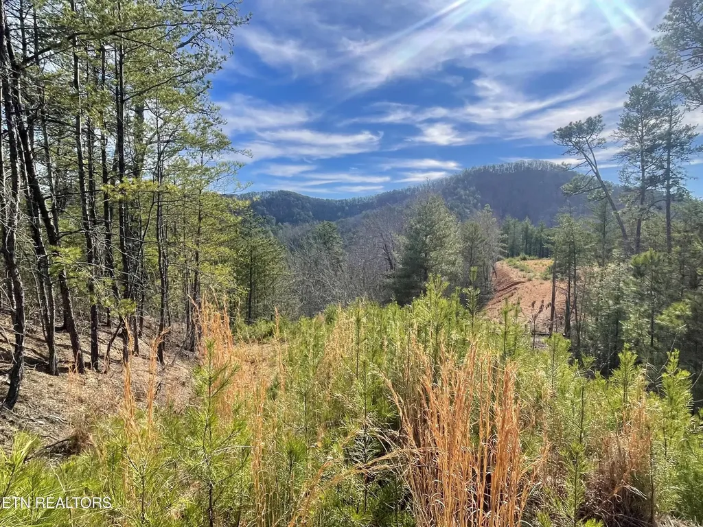 36 Bullet Mountain Drive Tellico Plains TN 37385