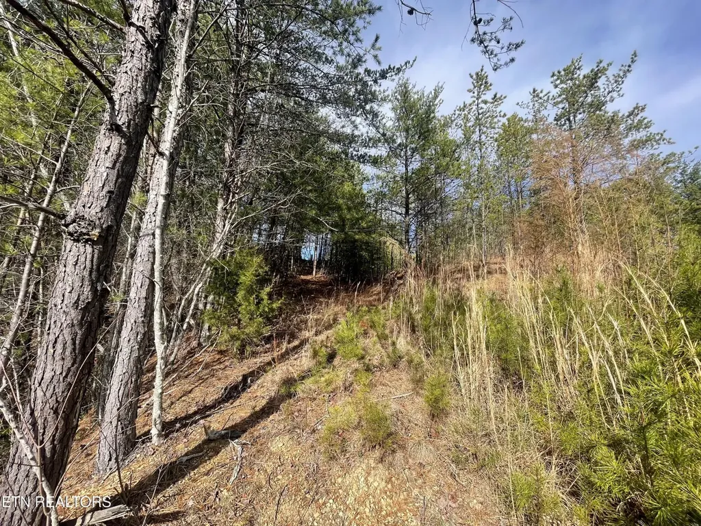 36 Bullet Mountain Drive Tellico Plains TN 37385