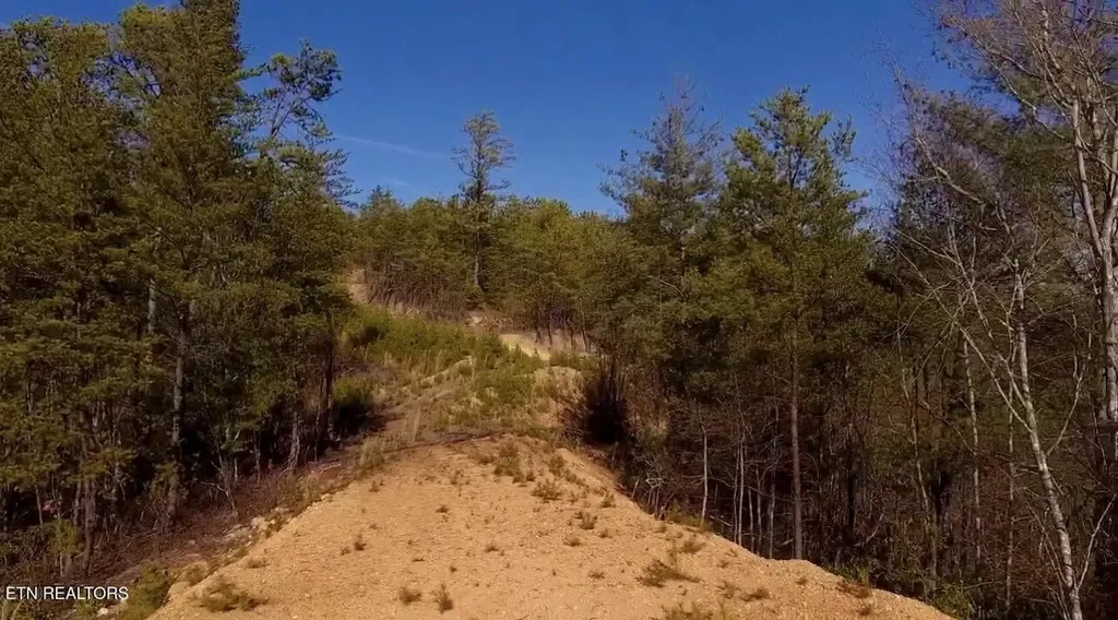 36 Bullet Mountain Drive Tellico Plains TN 37385