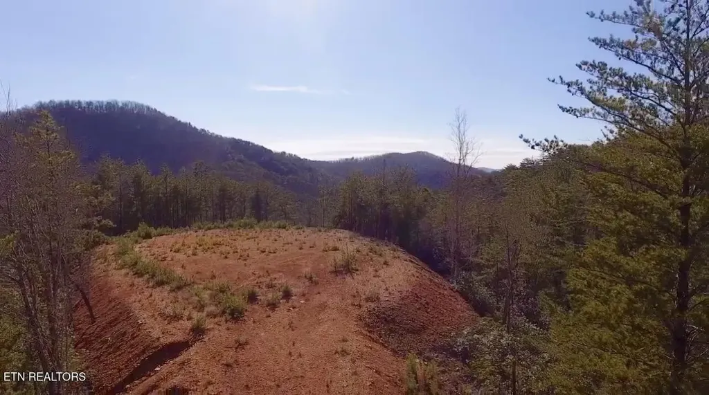 36 Bullet Mountain Drive Tellico Plains TN 37385