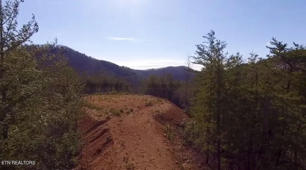 36 Bullet Mountain Drive Tellico Plains TN 37385