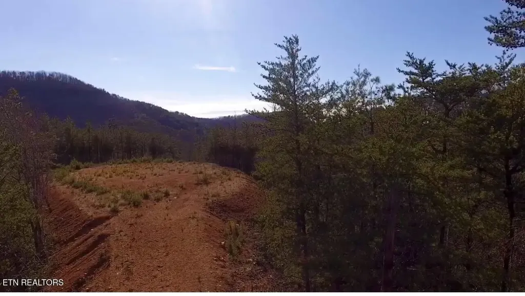 36 Bullet Mountain Drive Tellico Plains TN 37385