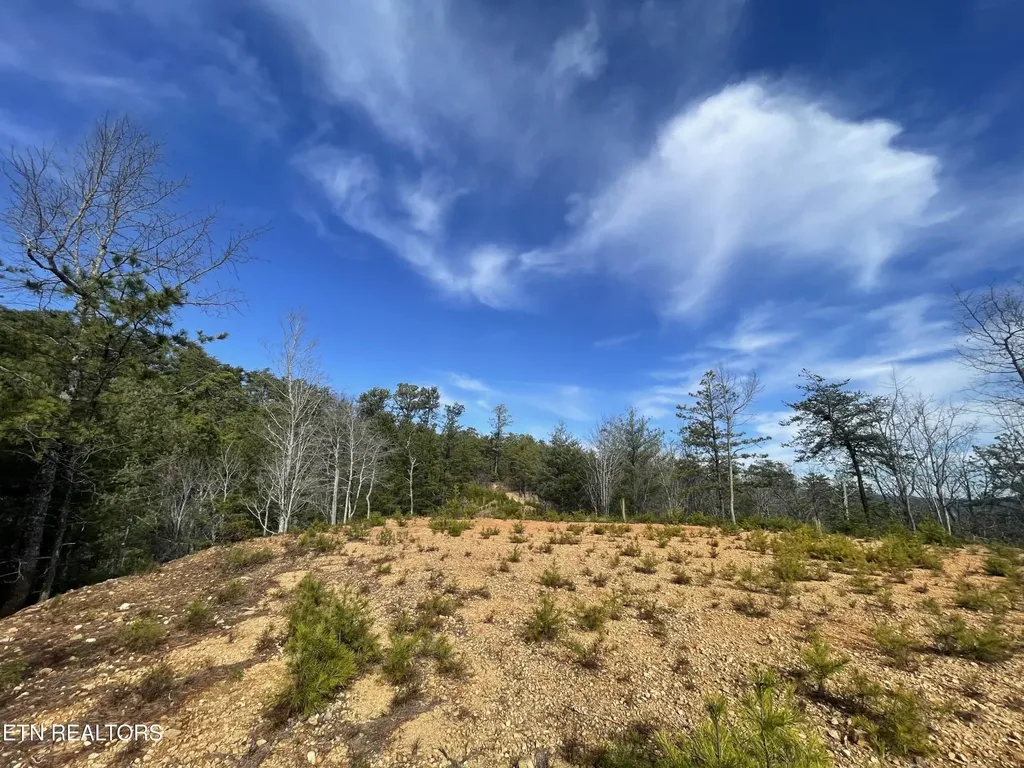 36 Bullet Mountain Drive Tellico Plains TN 37385