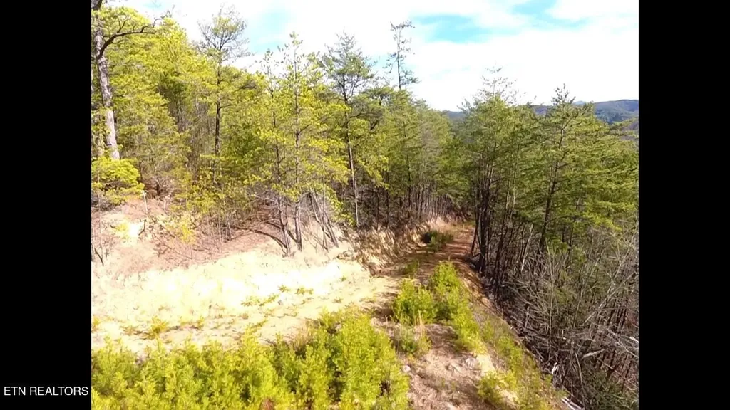 36 Bullet Mountain Drive Tellico Plains TN 37385